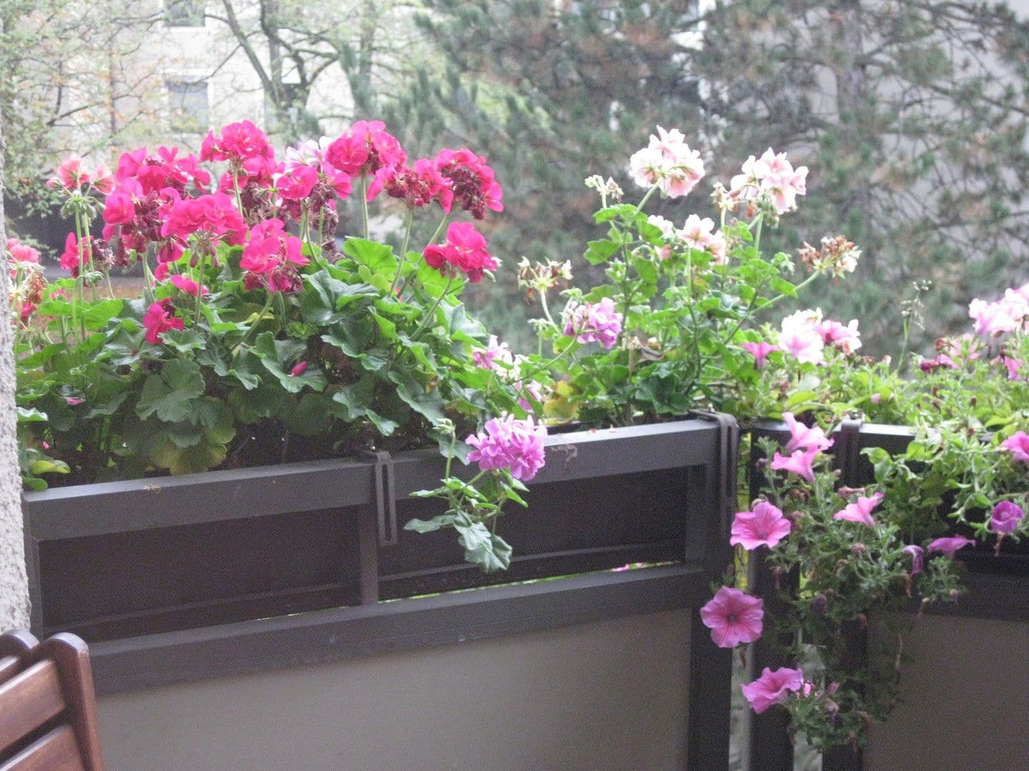 Prodej bytu 3+kk 92 m², München, Bavorsko Prodej bytu 3+kk 92 m², München, Bavorsko