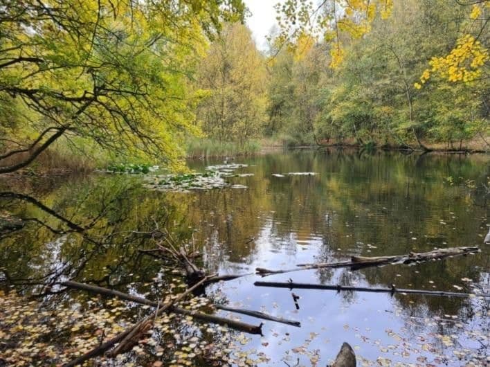 Prodej domu 111 m², pozemek 125 m², Wulmstorfer Ring, Hamburg, Hamburg Prodej domu 111 m², pozemek 125 m², Wulmstorfer Ring, Hamburg, Hamburg