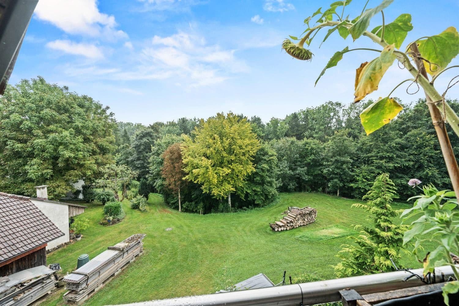 Prodej bytu 5+1 127 m², Ravensburg, Bádensko-Württembersko Prodej bytu 5+1 127 m², Ravensburg, Bádensko-Württembersko