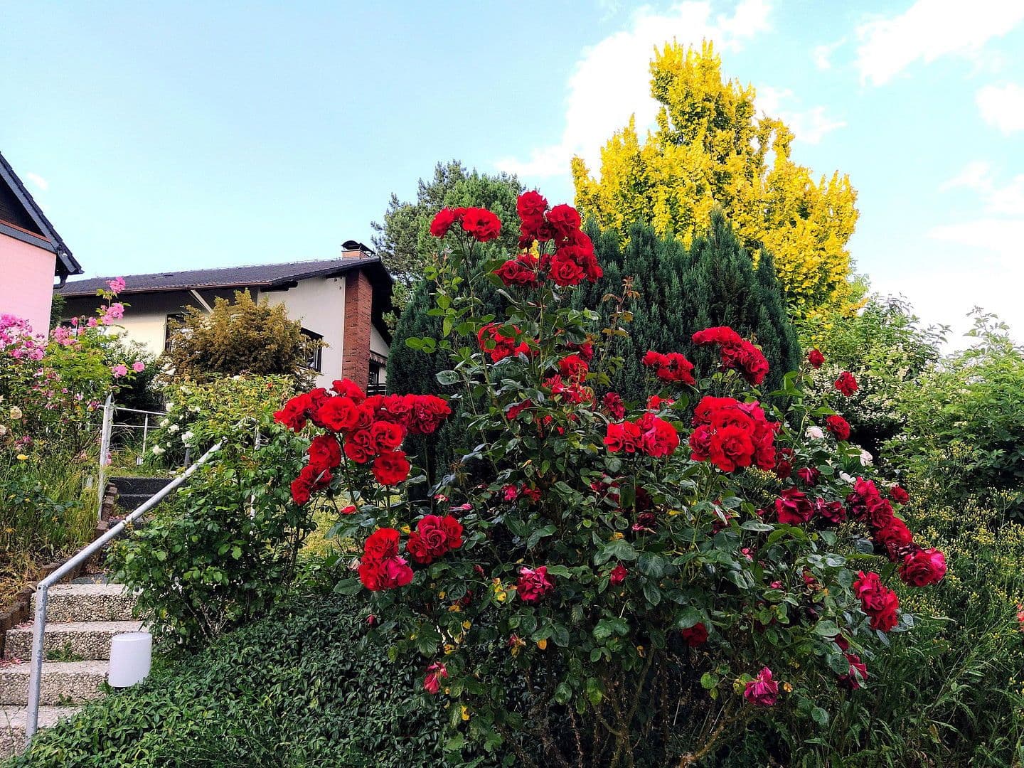 Prodej domu 245 m², pozemek 795 m², Niedernhausen, Hessen Prodej domu 245 m², pozemek 795 m², Niedernhausen, Hessen