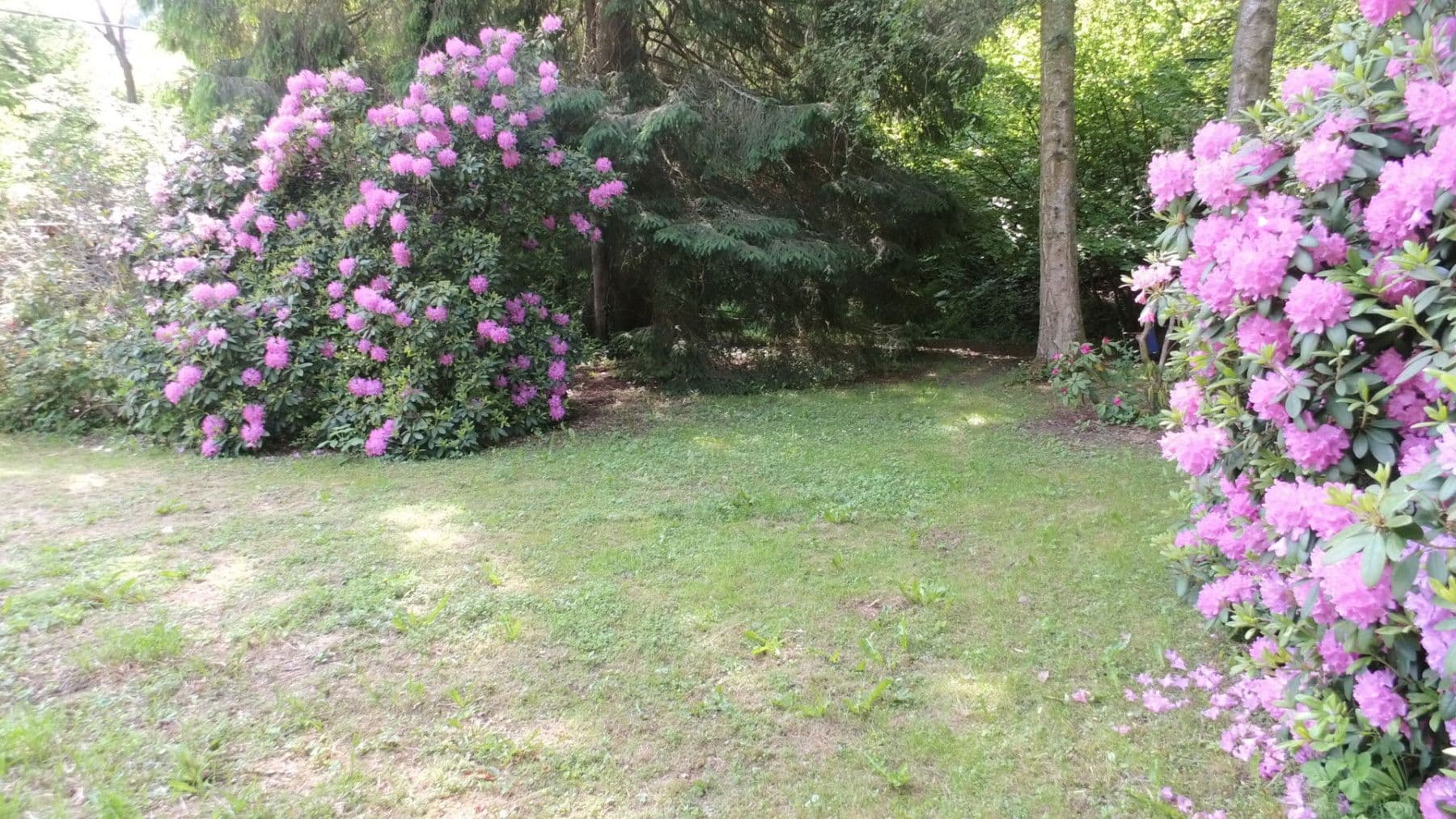 Pronájem bytu 4+1 130 m², Schwimmbadstraße 7, Bad Herrenalb, Bádensko-Württembersko Pronájem bytu 4+1 130 m², Schwimmbadstraße 7, Bad Herrenalb, Bádensko-Württembersko