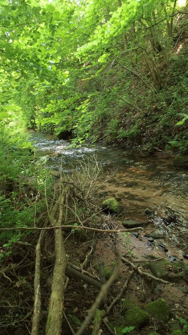 Pronájem bytu 4+1 130 m², Schwimmbadstraße 7, Bad Herrenalb, Bádensko-Württembersko Pronájem bytu 4+1 130 m², Schwimmbadstraße 7, Bad Herrenalb, Bádensko-Württembersko