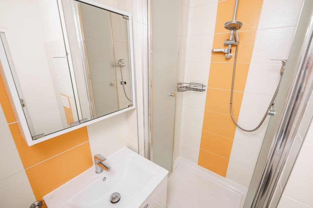 Pronájem bytu 1+kk 22 m², Přetlucká, Praha, Praha Pronájem bytu 1+kk 22 m², Přetlucká, Praha, Praha