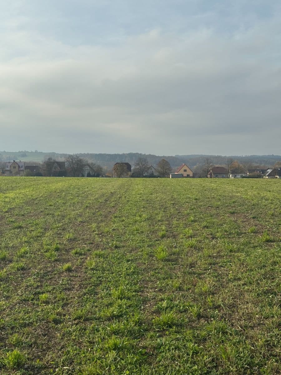 Prodej pozemku 1.003 m², 3, Klenovice, Jihočeský kraj Prodej pozemku 1.003 m², 3, Klenovice, Jihočeský kraj