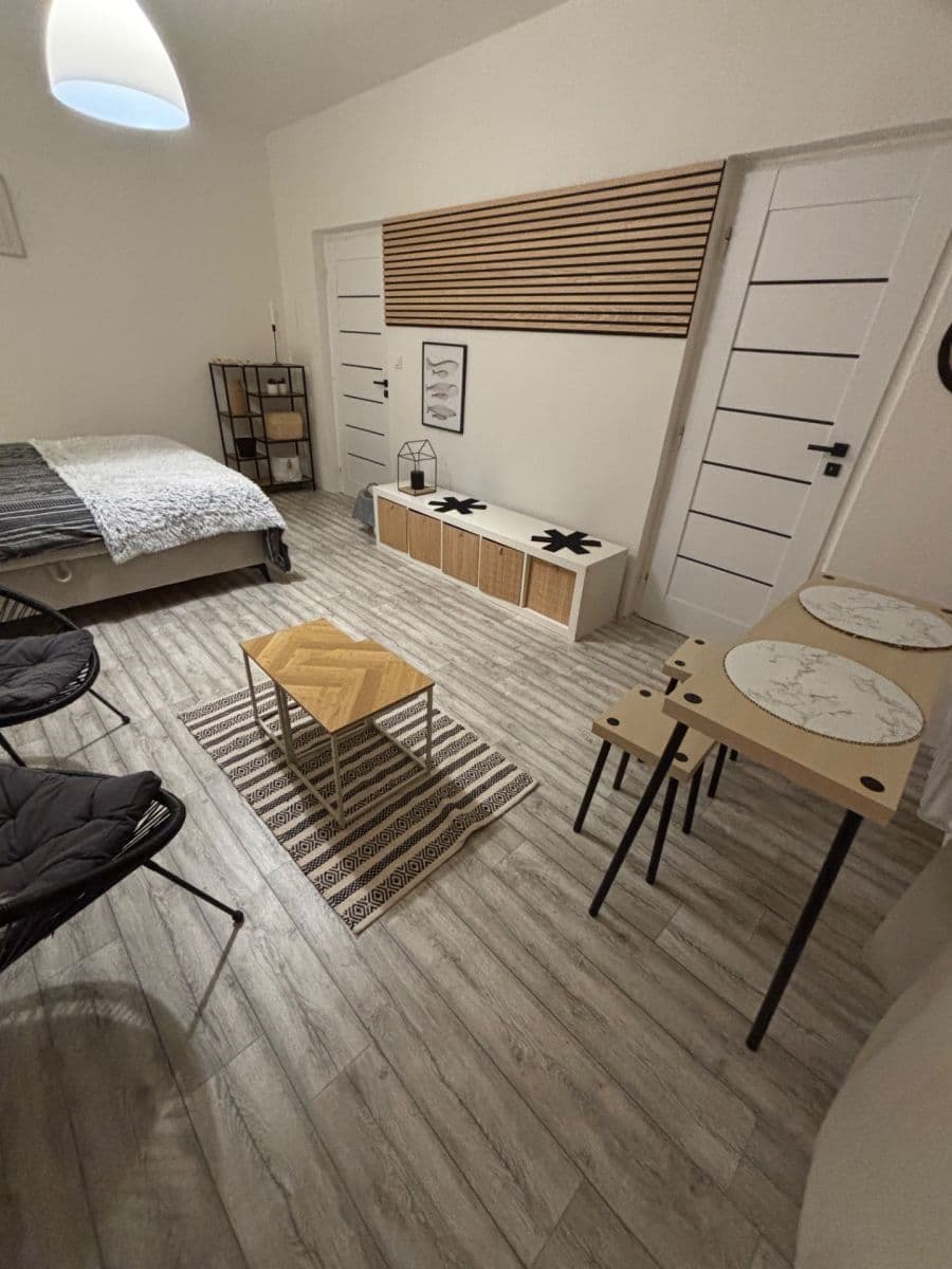 Pronájem bytu 1+1 39 m², Halasovo náměstí, Brno, Jihomoravský kraj Pronájem bytu 1+1 39 m², Halasovo náměstí, Brno, Jihomoravský kraj