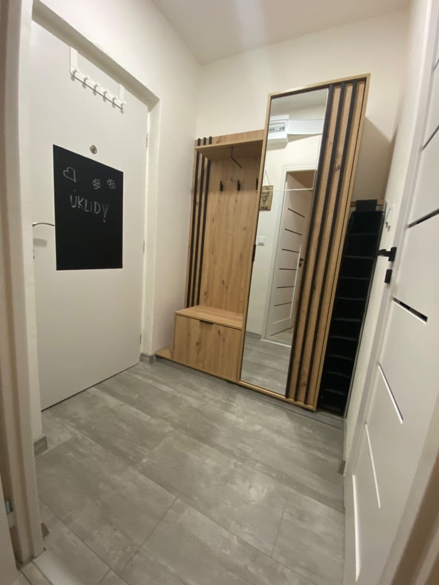 Pronájem bytu 1+1 39 m², Halasovo náměstí, Brno, Jihomoravský kraj Pronájem bytu 1+1 39 m², Halasovo náměstí, Brno, Jihomoravský kraj