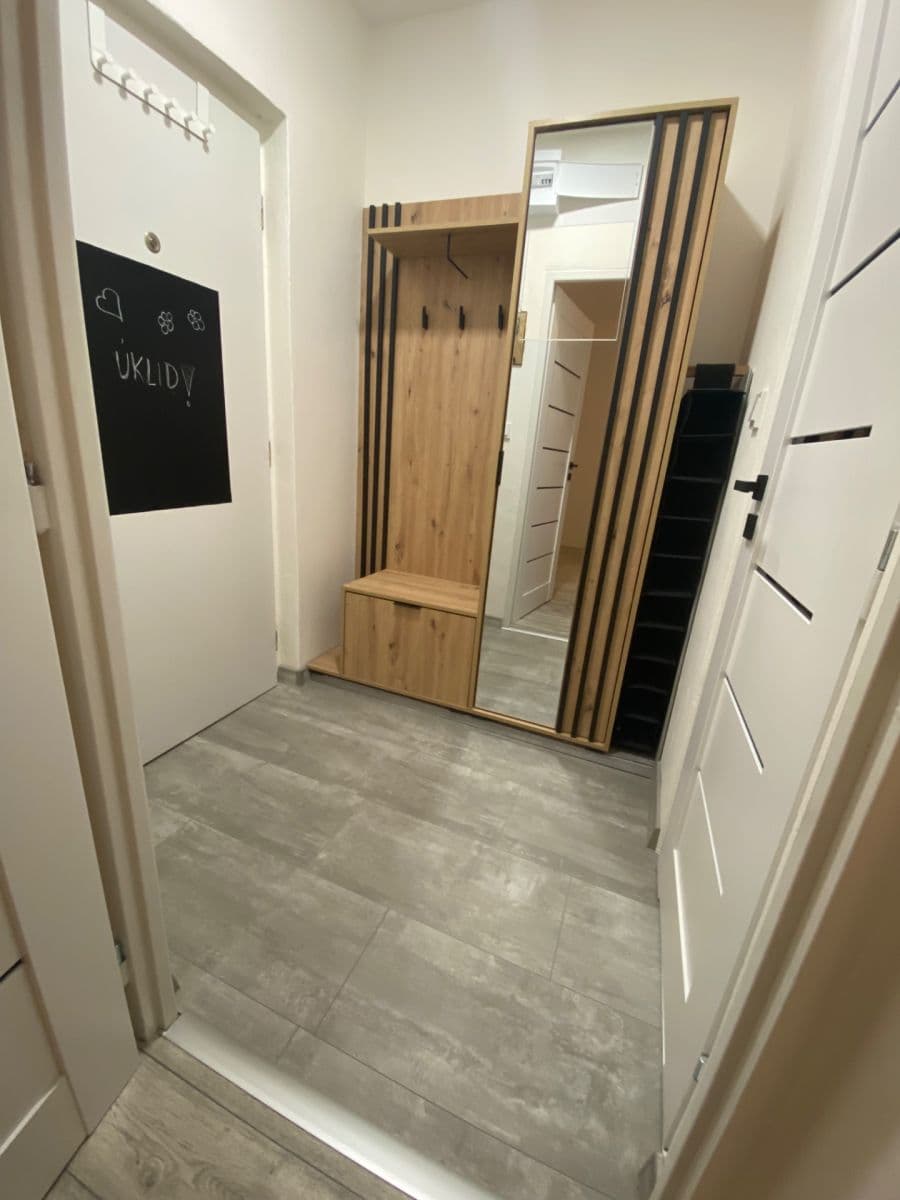 Pronájem bytu 1+1 39 m², Halasovo náměstí, Brno, Jihomoravský kraj Pronájem bytu 1+1 39 m², Halasovo náměstí, Brno, Jihomoravský kraj