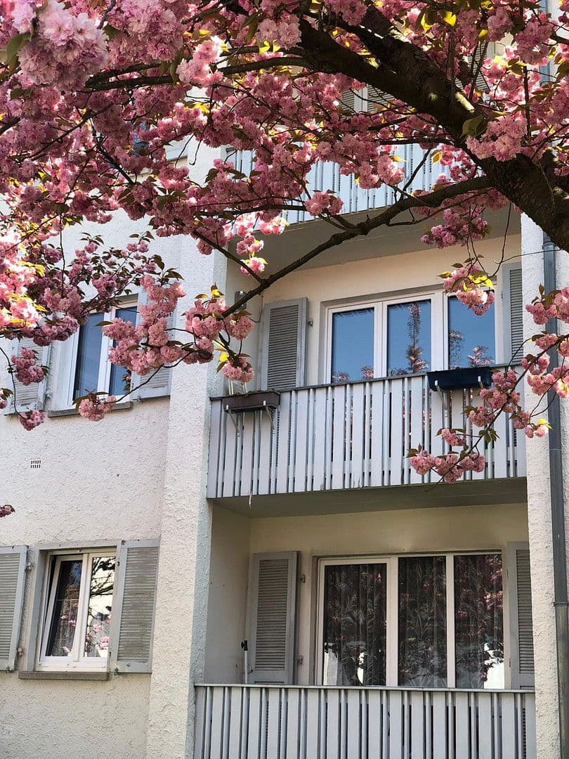 Pronájem bytu 2+1 56 m², Waldstr7, Gaggenau, Bádensko-Württembersko Pronájem bytu 2+1 56 m², Waldstr7, Gaggenau, Bádensko-Württembersko