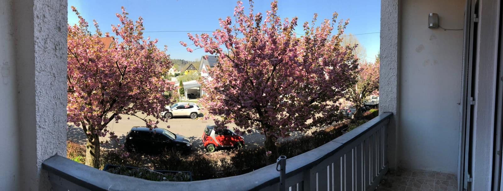 Pronájem bytu 2+1 56 m², Waldstr7, Gaggenau, Bádensko-Württembersko Pronájem bytu 2+1 56 m², Waldstr7, Gaggenau, Bádensko-Württembersko