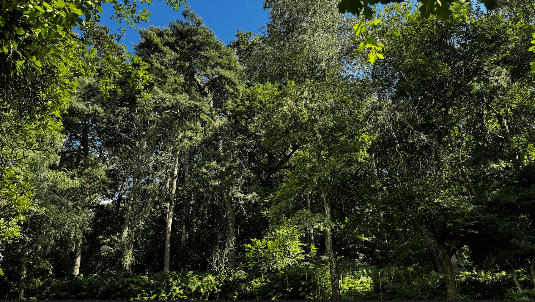 Prodej domu 245 m², pozemek 10.100 m², Dortmund, Severní Porýní-Vestfálsko Prodej domu 245 m², pozemek 10.100 m², Dortmund, Severní Porýní-Vestfálsko