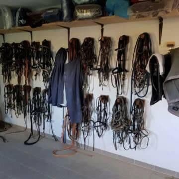 Prodej pozemku 46.000 m², Abtsgmünd, Bádensko-Württembersko Prodej pozemku 46.000 m², Abtsgmünd, Bádensko-Württembersko