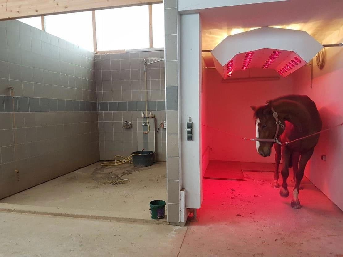 Prodej pozemku 46.000 m², Abtsgmünd, Bádensko-Württembersko Prodej pozemku 46.000 m², Abtsgmünd, Bádensko-Württembersko