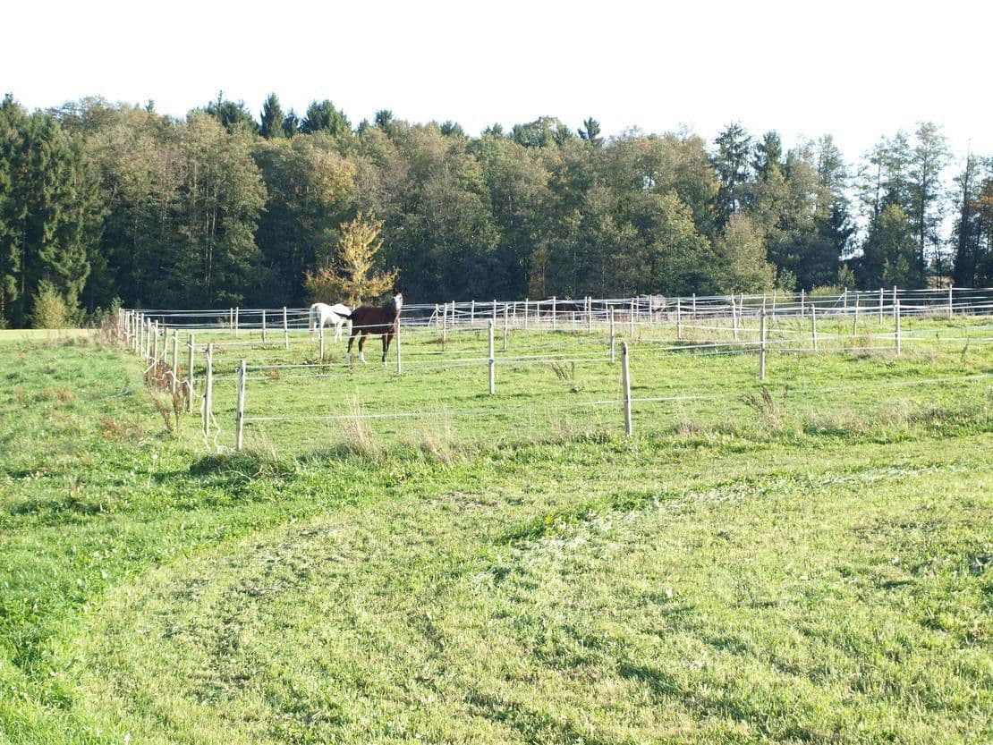 Prodej pozemku 46.000 m², Abtsgmünd, Bádensko-Württembersko Prodej pozemku 46.000 m², Abtsgmünd, Bádensko-Württembersko