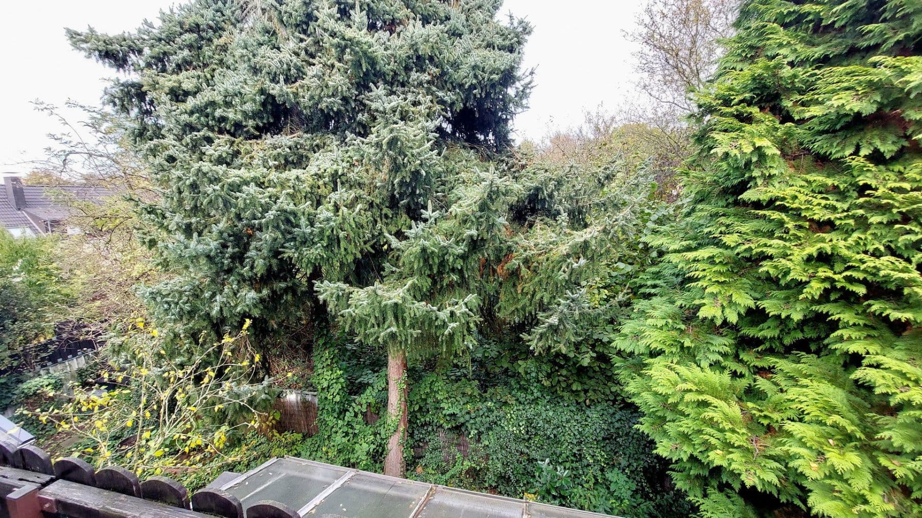 Pronájem bytu 2+1 70 m², Leverkusen, Severní Porýní-Vestfálsko Pronájem bytu 2+1 70 m², Leverkusen, Severní Porýní-Vestfálsko