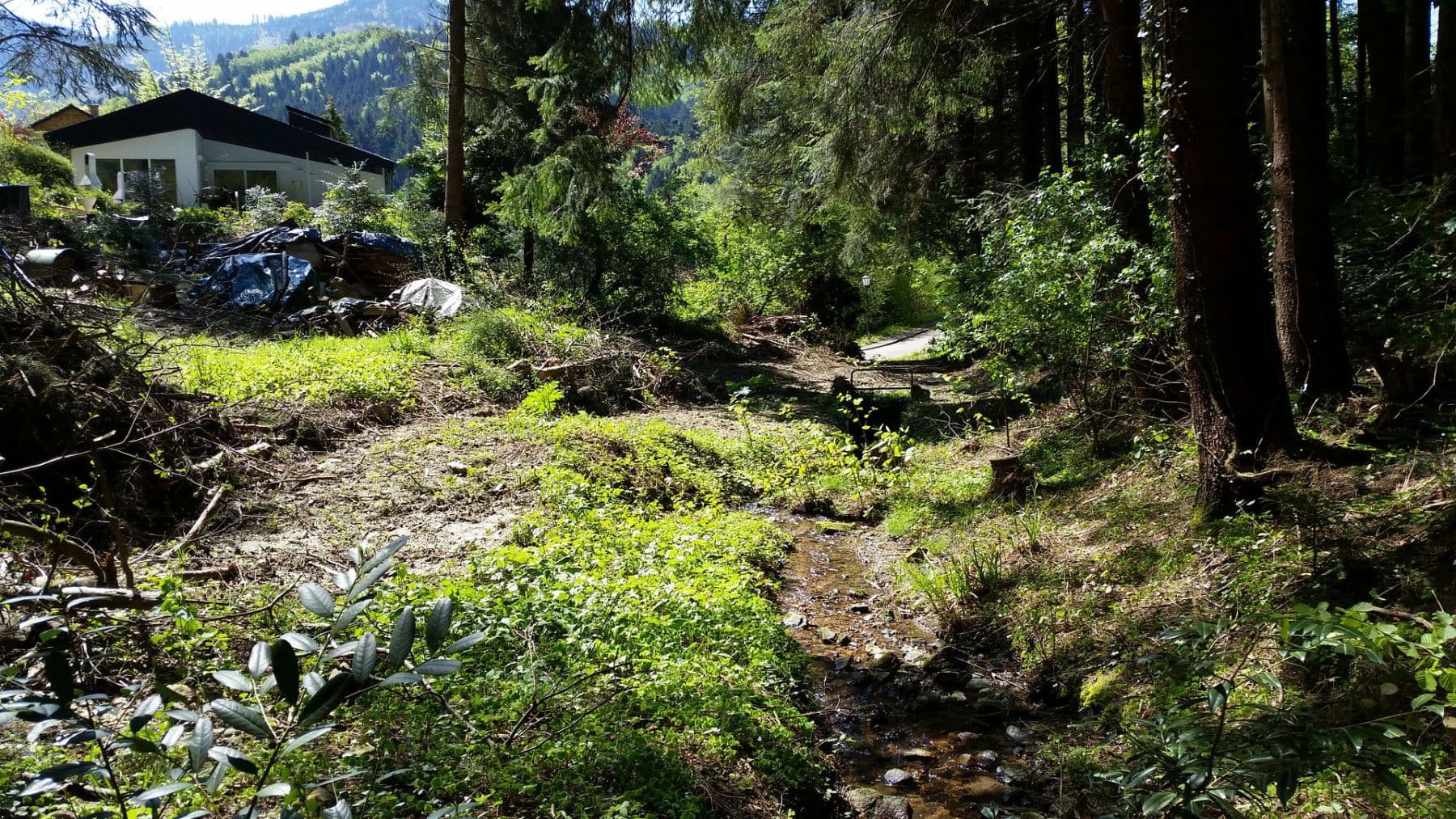 Prodej domu 239 m², pozemek 4.138 m², Badenweiler, Bádensko-Württembersko Prodej domu 239 m², pozemek 4.138 m², Badenweiler, Bádensko-Württembersko