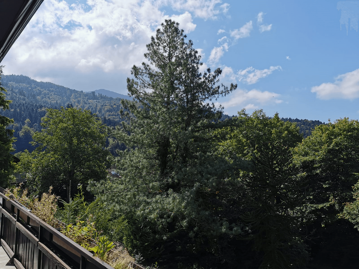 Prodej domu 239 m², pozemek 4.138 m², Badenweiler, Bádensko-Württembersko Prodej domu 239 m², pozemek 4.138 m², Badenweiler, Bádensko-Württembersko