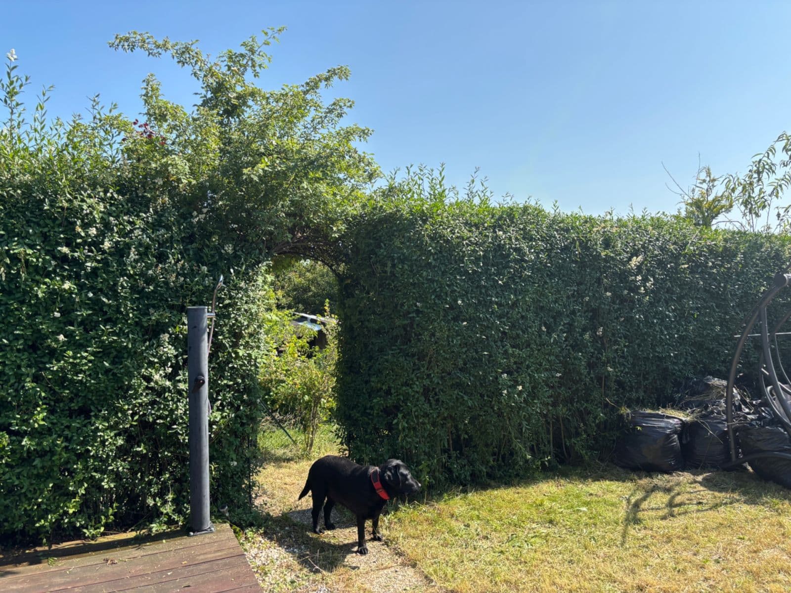 Prodej chaty, chalupy 25 m², pozemek 190 m², Bolívarova, Praha, Praha Prodej chaty, chalupy 25 m², pozemek 190 m², Bolívarova, Praha, Praha