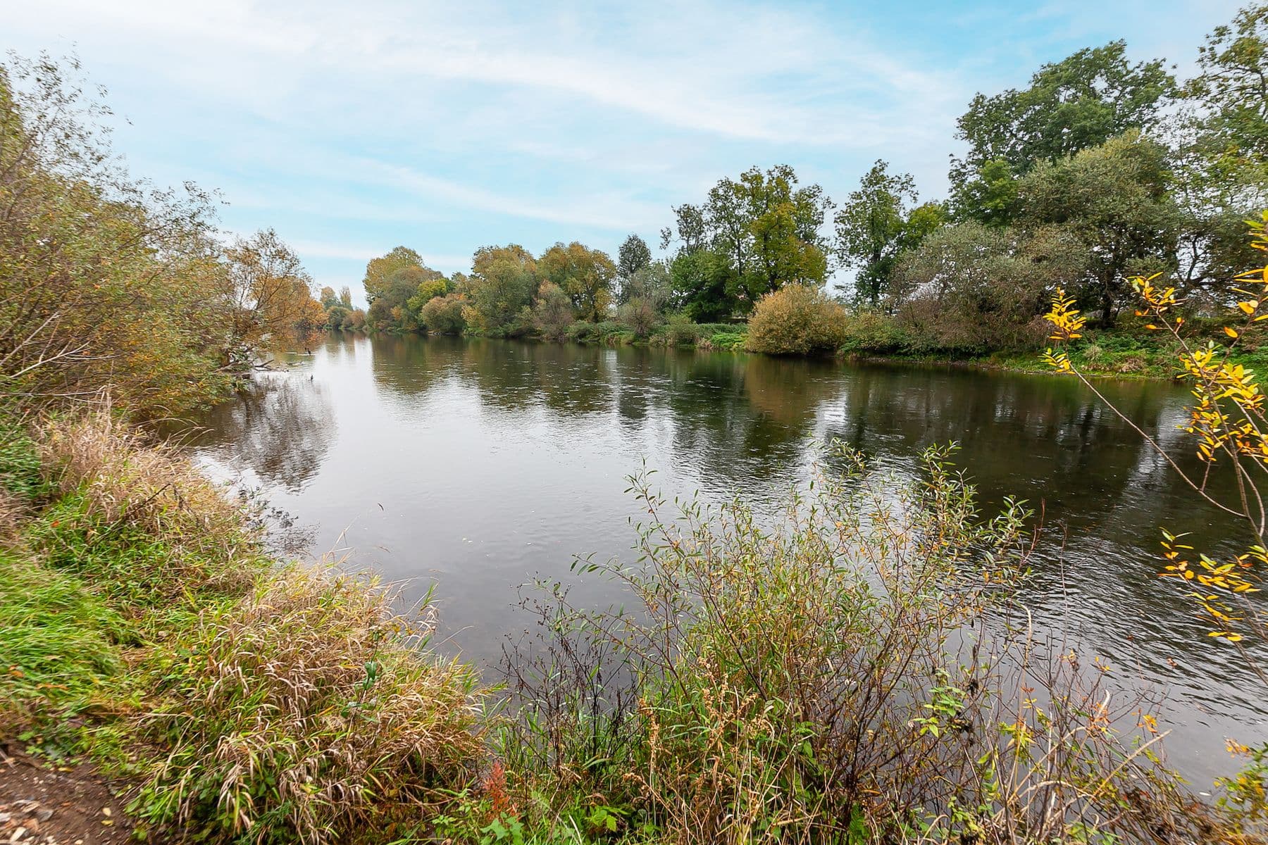 Prodej domu 252 m², pozemek 710 m², Olbrachtova, Černošice, Středočeský kraj Prodej domu 252 m², pozemek 710 m², Olbrachtova, Černošice, Středočeský kraj