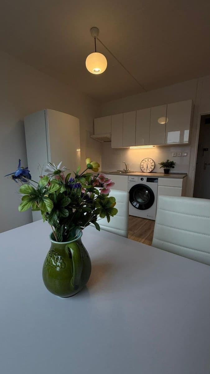 Pronájem bytu 1+1 35 m², Palackého, Chodov, Karlovarský kraj Pronájem bytu 1+1 35 m², Palackého, Chodov, Karlovarský kraj