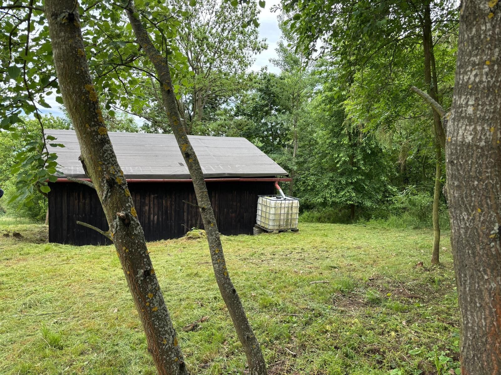 Prodej chaty, chalupy 37 m², pozemek 270 m², Jevíčko, Pardubický kraj Prodej chaty, chalupy 37 m², pozemek 270 m², Jevíčko, Pardubický kraj