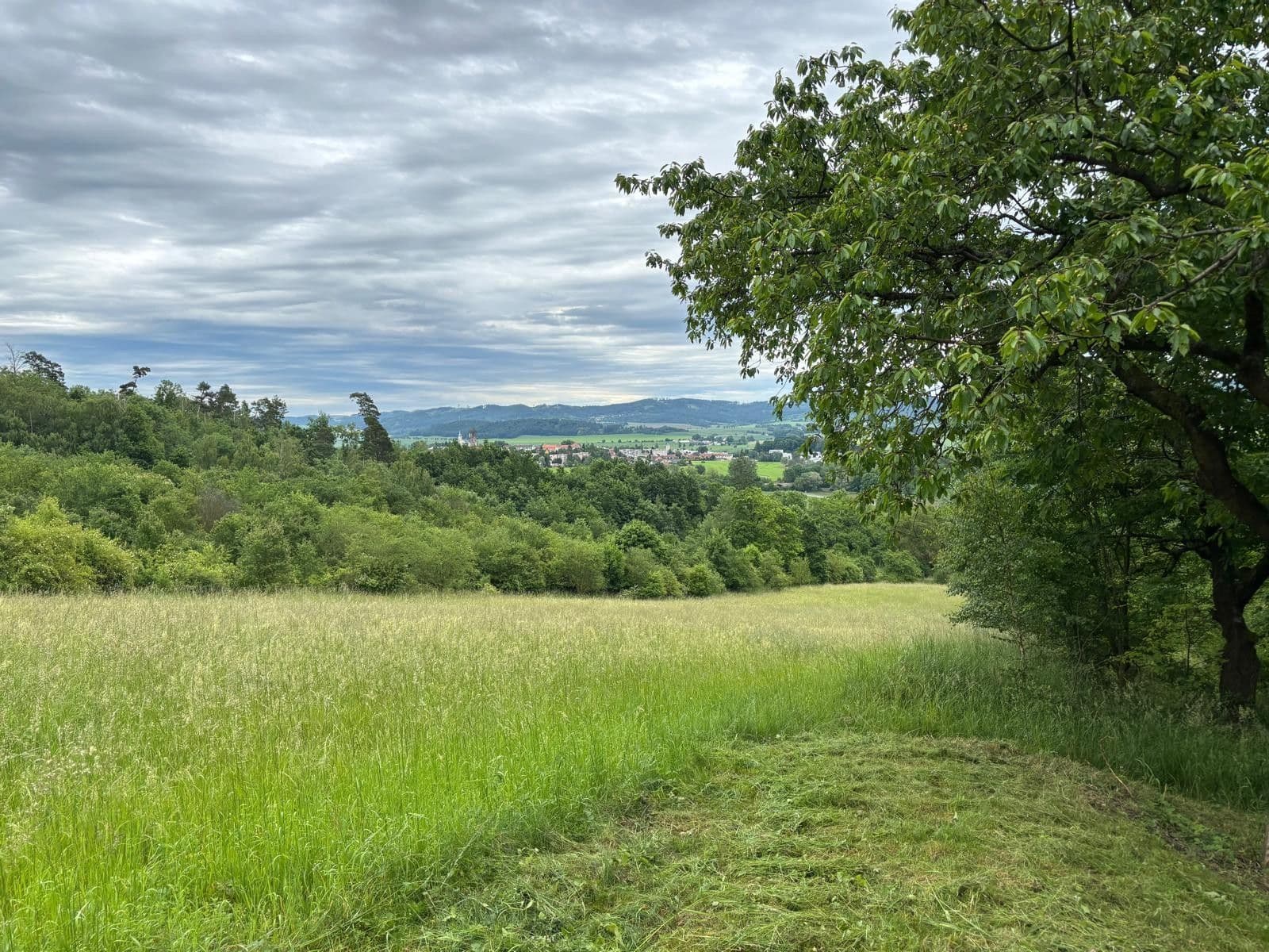 Prodej chaty, chalupy 37 m², pozemek 270 m², Jevíčko, Pardubický kraj Prodej chaty, chalupy 37 m², pozemek 270 m², Jevíčko, Pardubický kraj
