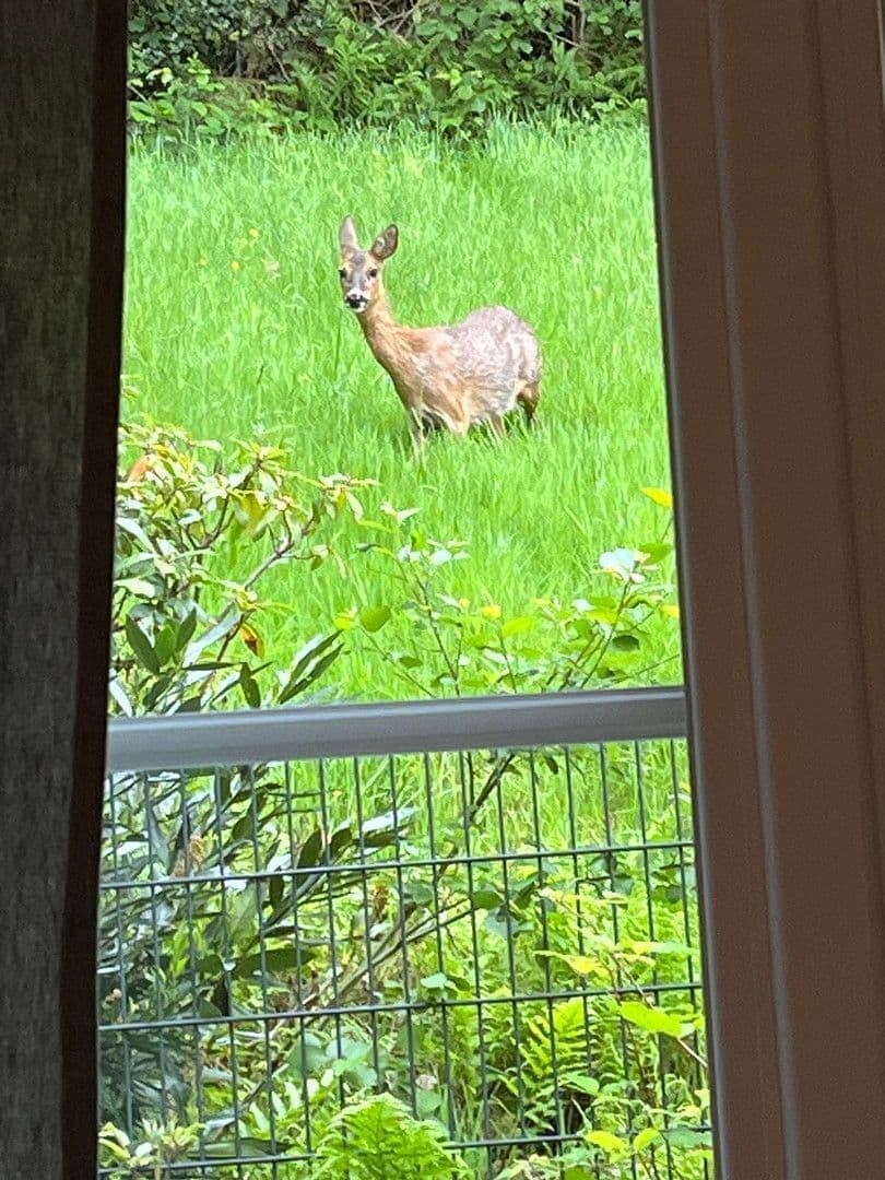 Prodej domu 150 m², pozemek 733 m², Iserlohn, Severní Porýní-Vestfálsko Prodej domu 150 m², pozemek 733 m², Iserlohn, Severní Porýní-Vestfálsko