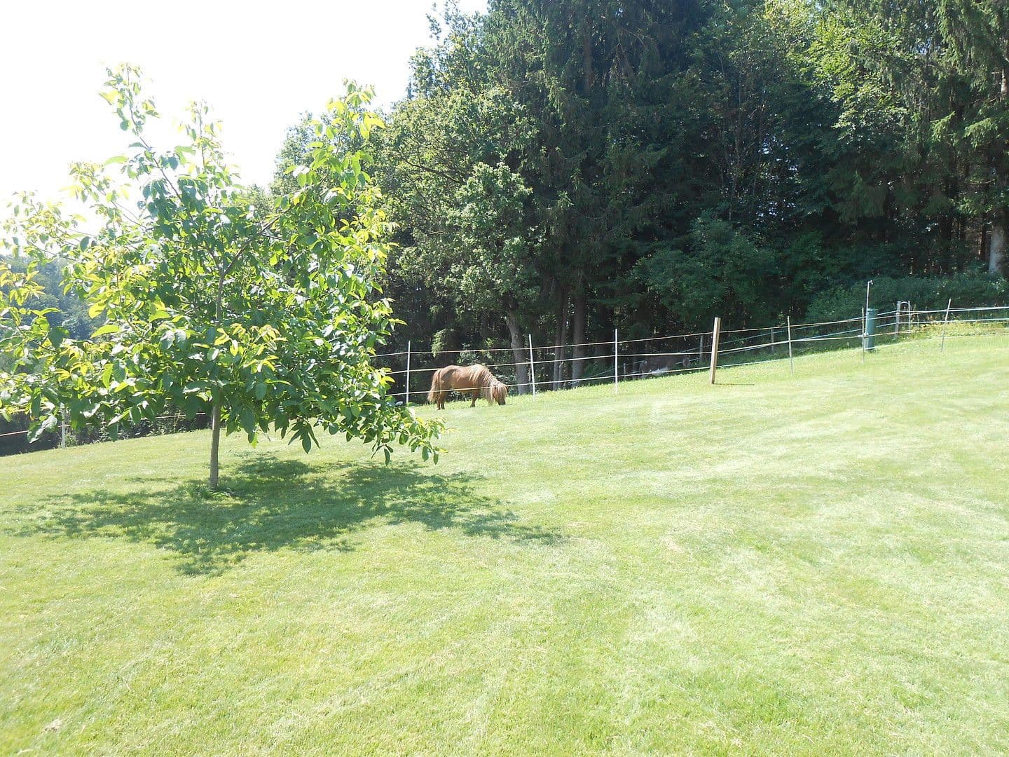 Pronájem bytu 2+kk 104 m², Obing, Bavorsko Pronájem bytu 2+kk 104 m², Obing, Bavorsko