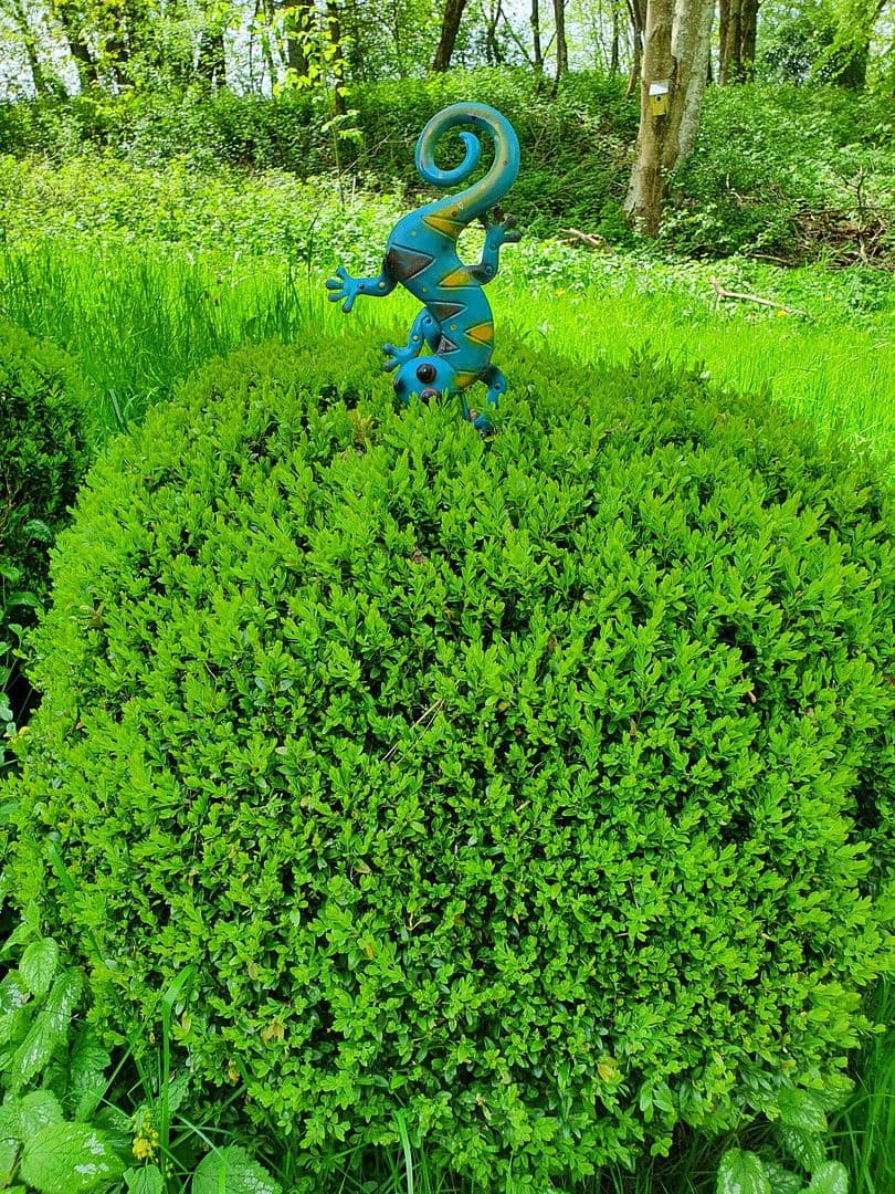 Pronájem bytu 2+1 72 m², Eigeltingen, Bádensko-Württembersko Pronájem bytu 2+1 72 m², Eigeltingen, Bádensko-Württembersko