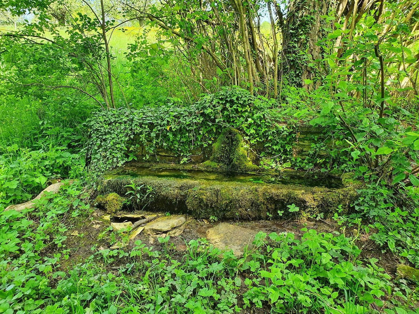 Pronájem bytu 2+1 72 m², Eigeltingen, Bádensko-Württembersko Pronájem bytu 2+1 72 m², Eigeltingen, Bádensko-Württembersko