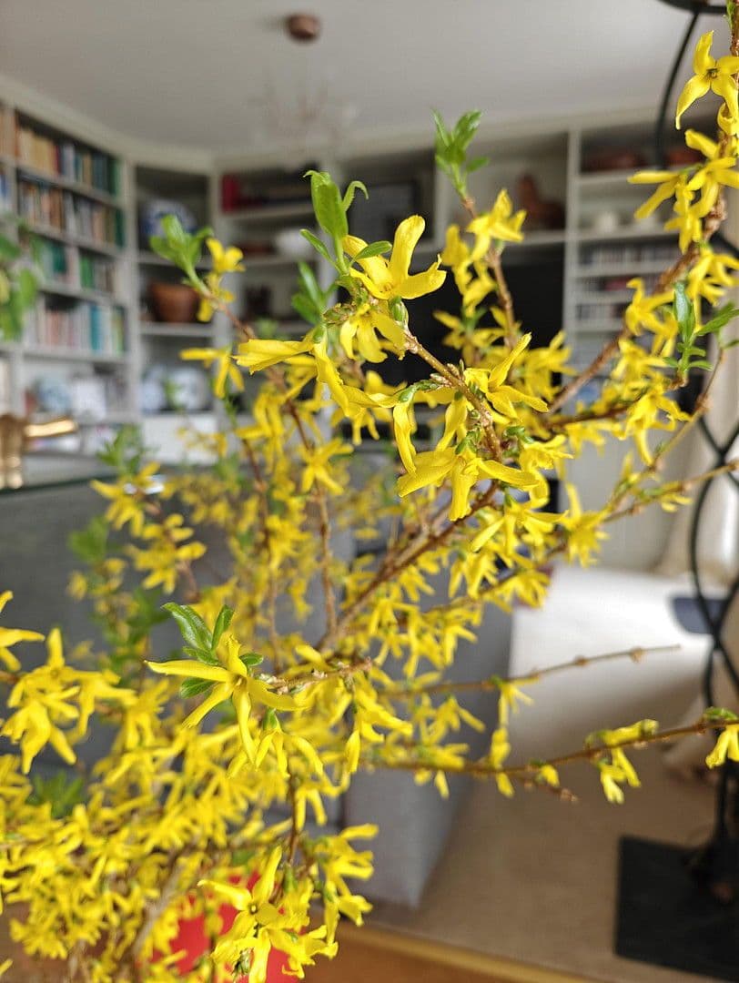 Prodej domu 493 m², pozemek 1.531 m², Glashütten, Hessen Prodej domu 493 m², pozemek 1.531 m², Glashütten, Hessen