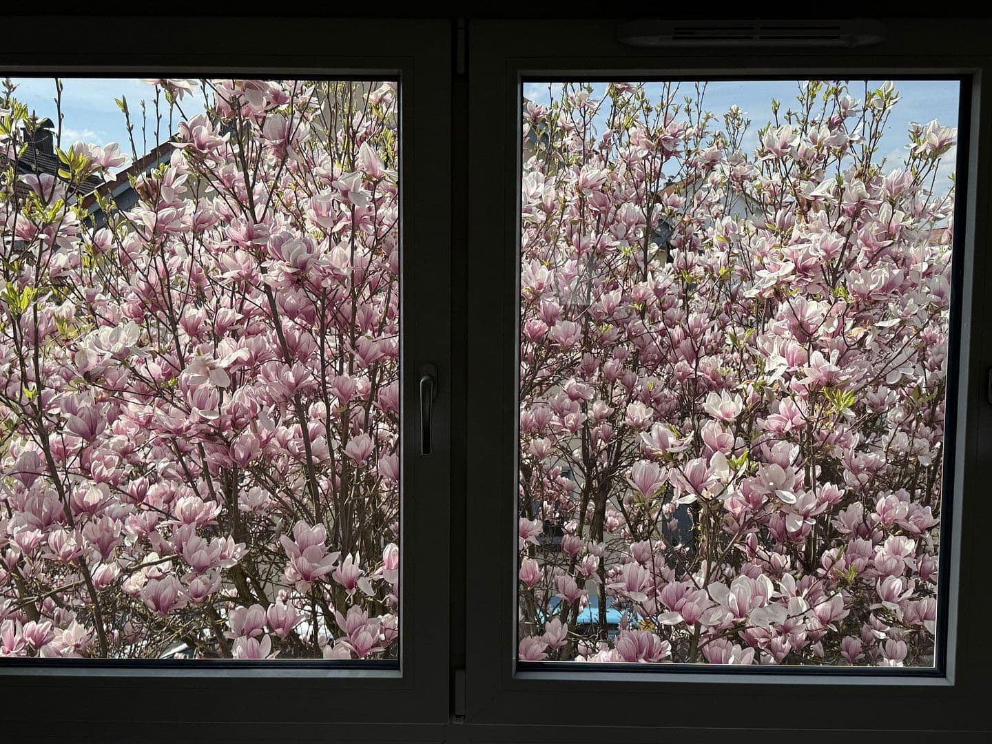 Pronájem bytu 5+1 126 m², Wiesbaden, Hessen Pronájem bytu 5+1 126 m², Wiesbaden, Hessen