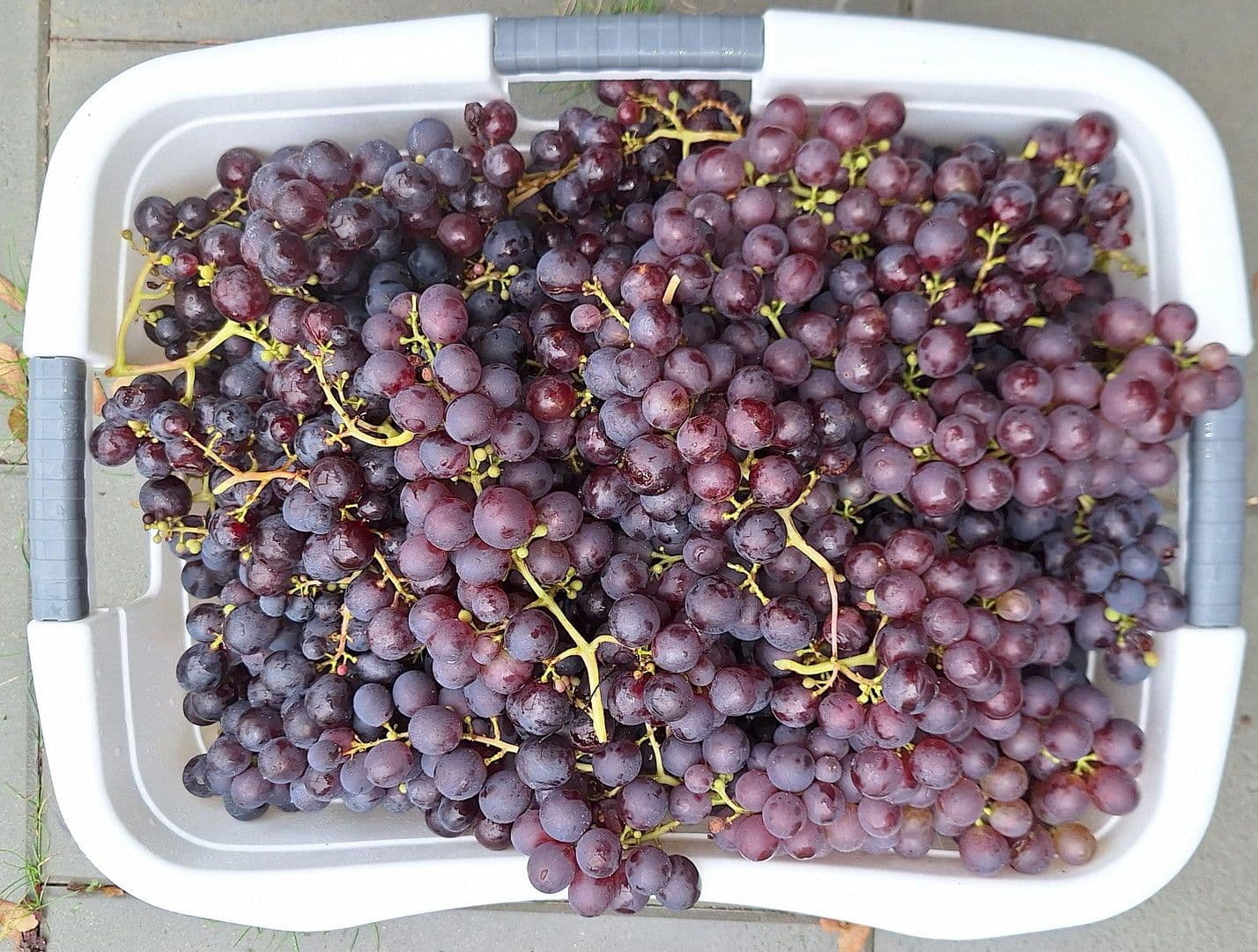 Prodej domu 181 m², pozemek 300 m², Bremen, Bremen Prodej domu 181 m², pozemek 300 m², Bremen, Bremen