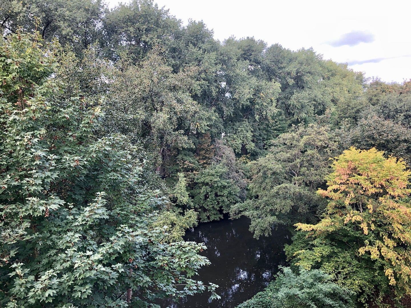 Pronájem bytu 3+1 78 m², Hamburg, Hamburg Pronájem bytu 3+1 78 m², Hamburg, Hamburg