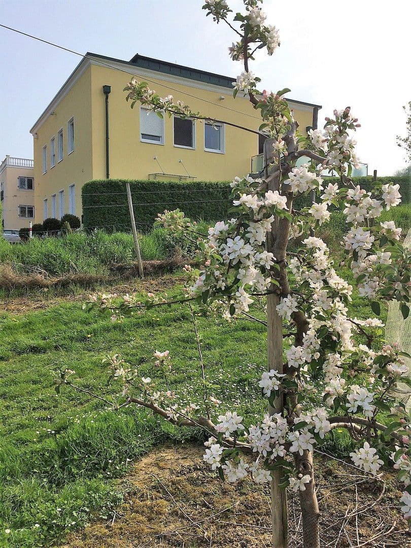 Prodej domu 439 m², pozemek 828 m², Wachtberg, Severní Porýní-Vestfálsko Prodej domu 439 m², pozemek 828 m², Wachtberg, Severní Porýní-Vestfálsko