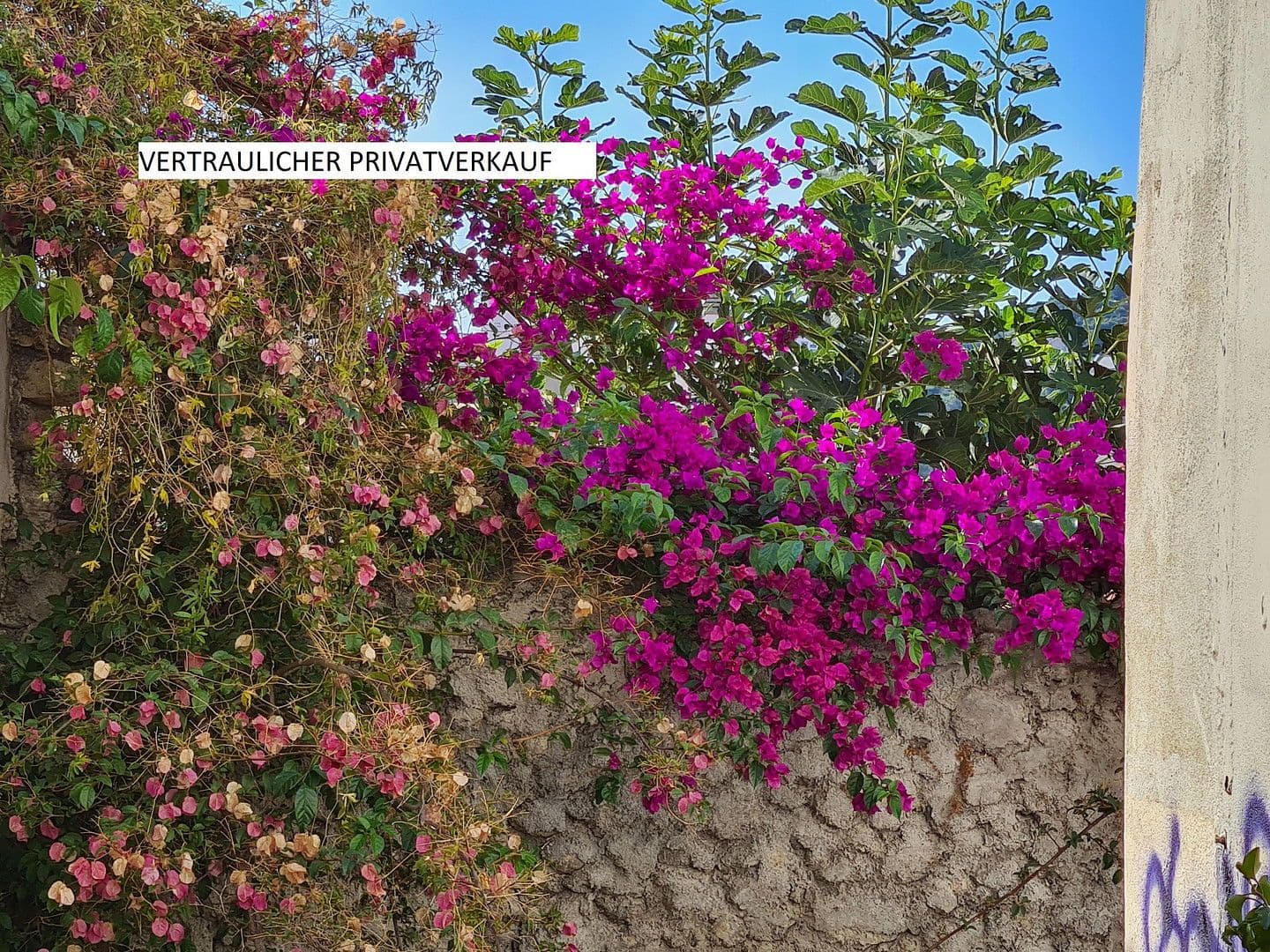 Prodej domu 500 m², pozemek 794 m², ERFURT, Durynsko Prodej domu 500 m², pozemek 794 m², ERFURT, Durynsko