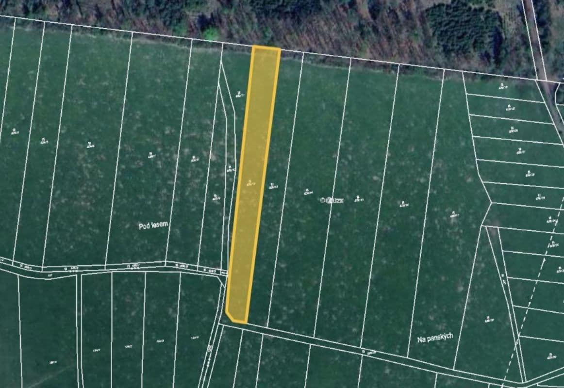 Prodej pozemku 4.209 m², Čížkov, Plzeňský kraj Prodej pozemku 4.209 m², Čížkov, Plzeňský kraj