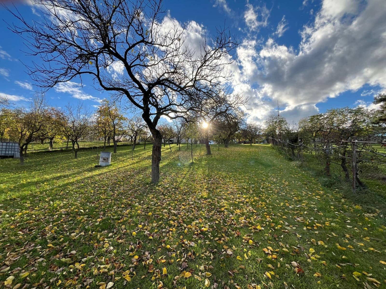 Prodej domu 130 m², pozemek 2.506 m², Oleksovice, Jihomoravský kraj Prodej domu 130 m², pozemek 2.506 m², Oleksovice, Jihomoravský kraj