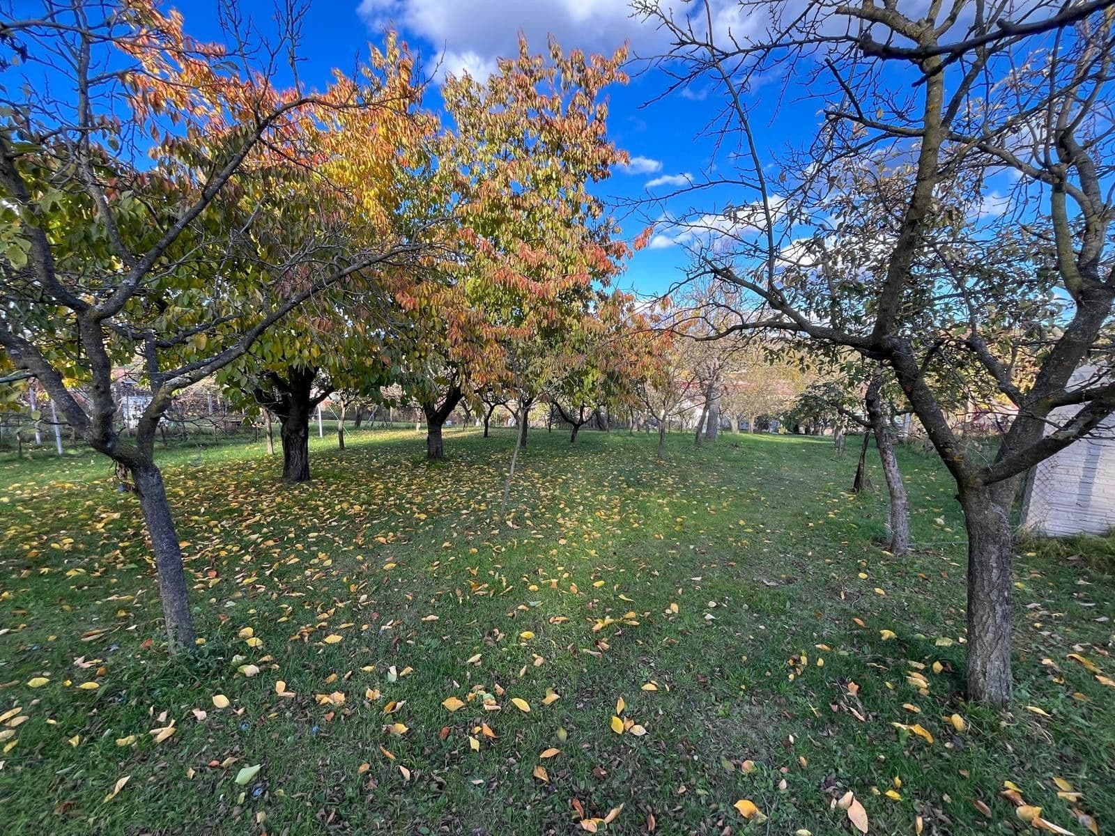 Prodej domu 130 m², pozemek 2.506 m², Oleksovice, Jihomoravský kraj Prodej domu 130 m², pozemek 2.506 m², Oleksovice, Jihomoravský kraj