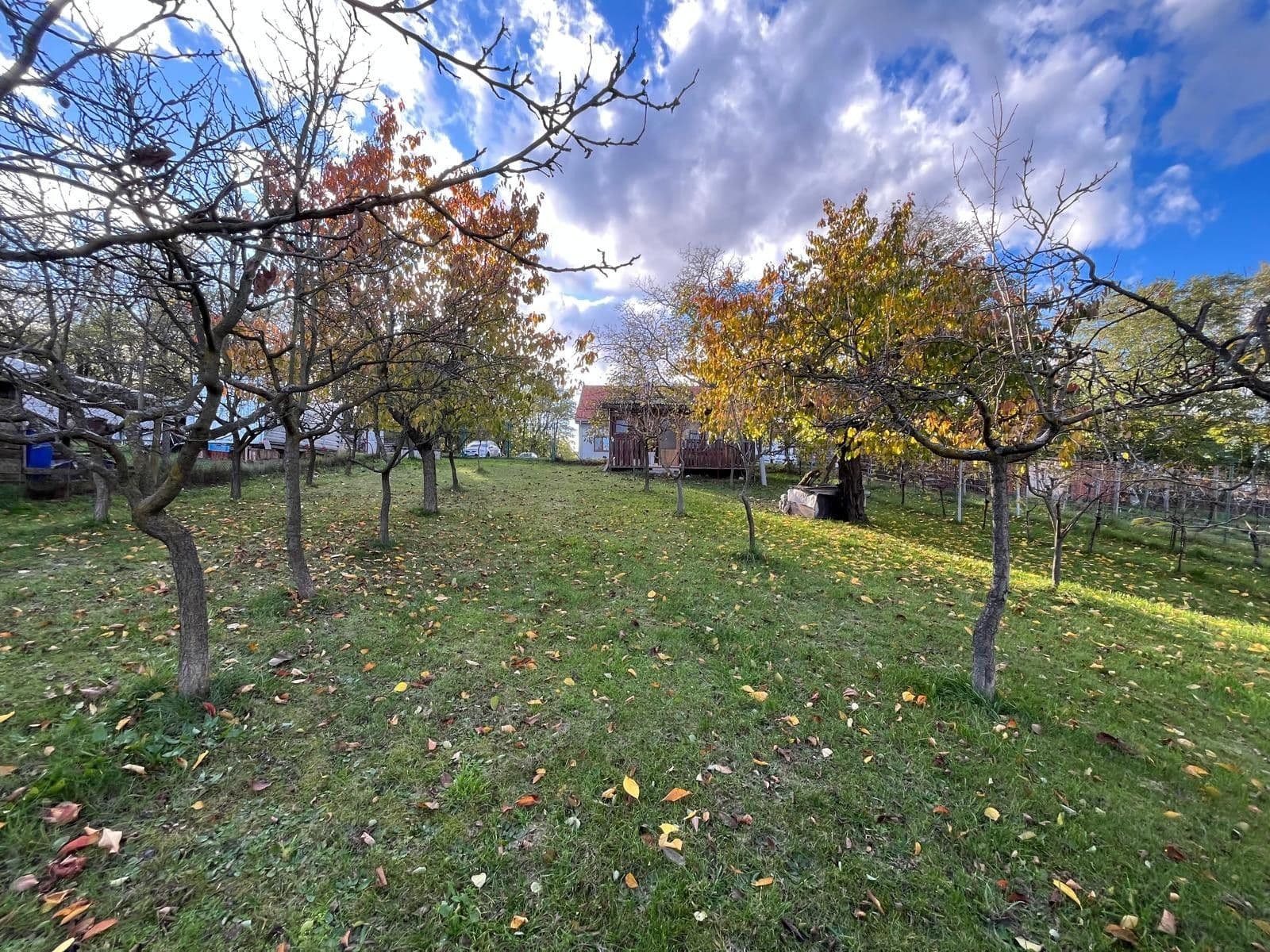 Prodej domu 130 m², pozemek 2.506 m², Oleksovice, Jihomoravský kraj Prodej domu 130 m², pozemek 2.506 m², Oleksovice, Jihomoravský kraj