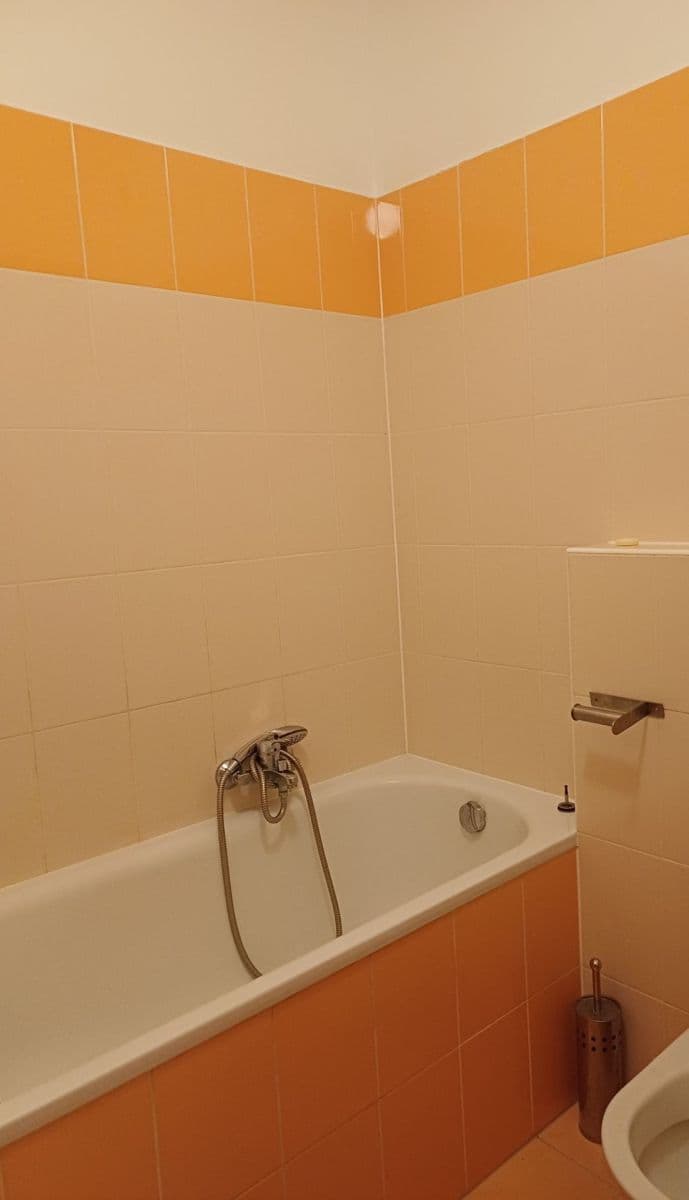 Pronájem bytu 1+kk 38 m², Hvozdecká, Brno, Jihomoravský kraj Pronájem bytu 1+kk 38 m², Hvozdecká, Brno, Jihomoravský kraj