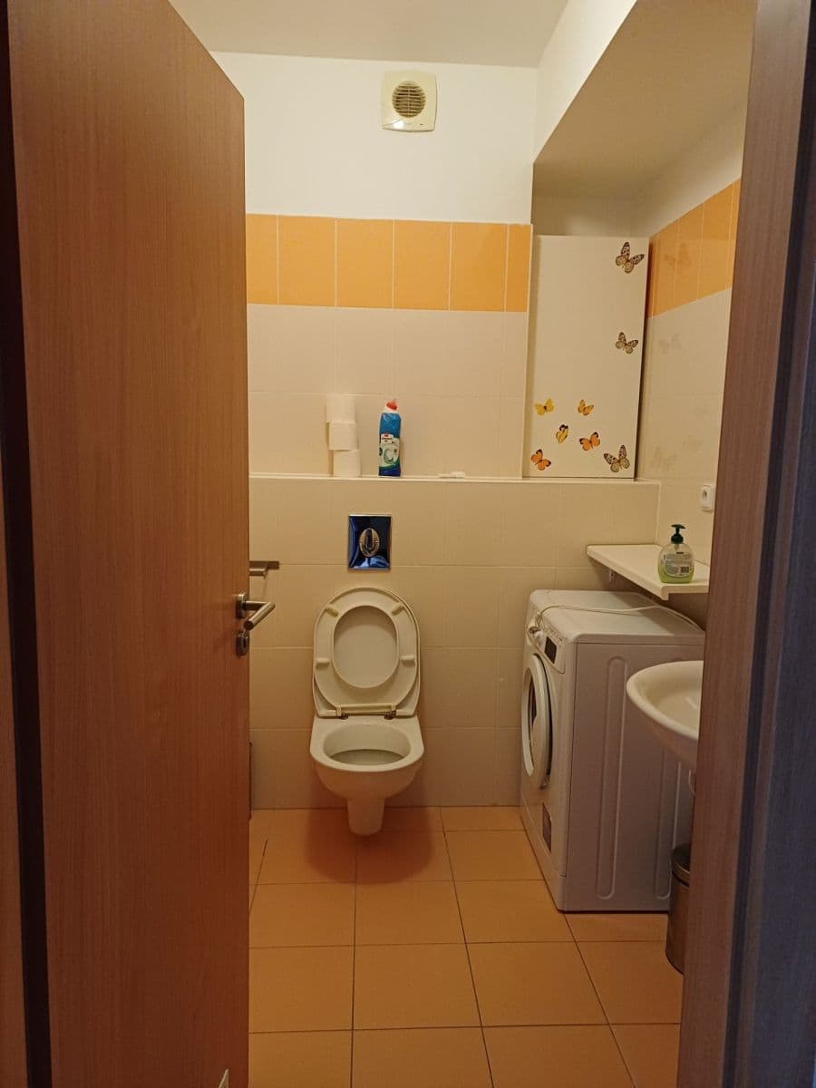 Pronájem bytu 1+kk 38 m², Hvozdecká, Brno, Jihomoravský kraj Pronájem bytu 1+kk 38 m², Hvozdecká, Brno, Jihomoravský kraj