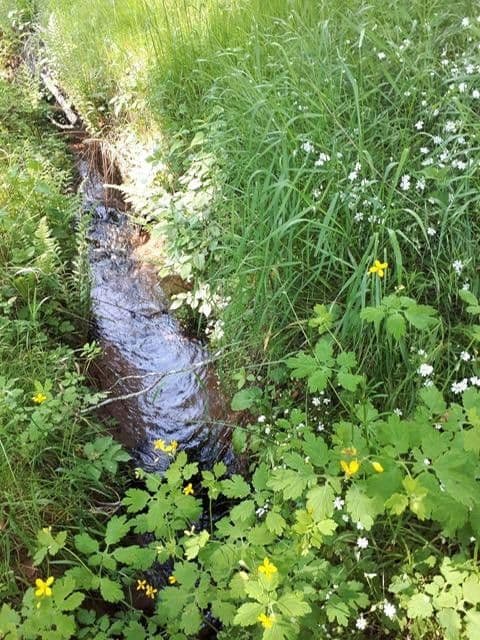 Prodej domu 520 m², pozemek 3.000 m², Sattelmühle 2, Esthal, Porýní-Falc Prodej domu 520 m², pozemek 3.000 m², Sattelmühle 2, Esthal, Porýní-Falc