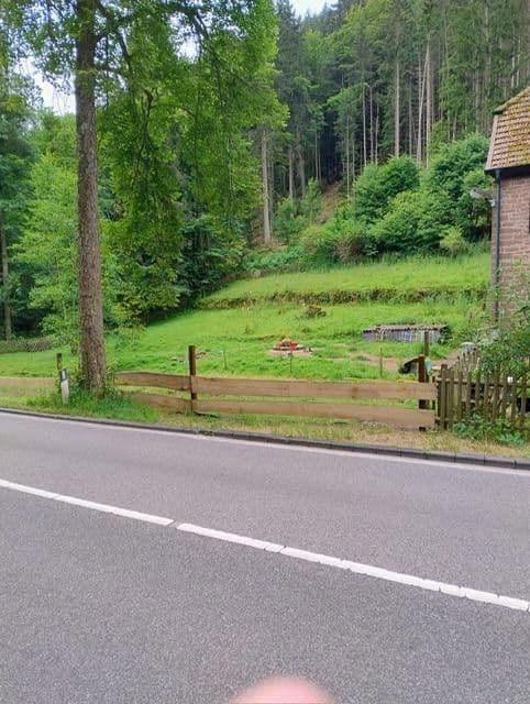 Prodej domu 520 m², pozemek 3.000 m², Sattelmühle 2, Esthal, Porýní-Falc Prodej domu 520 m², pozemek 3.000 m², Sattelmühle 2, Esthal, Porýní-Falc