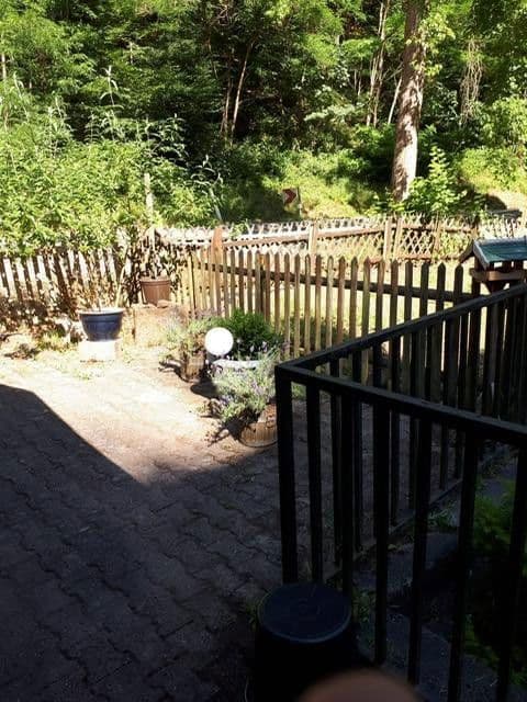 Prodej domu 520 m², pozemek 3.000 m², Sattelmühle 2, Esthal, Porýní-Falc Prodej domu 520 m², pozemek 3.000 m², Sattelmühle 2, Esthal, Porýní-Falc