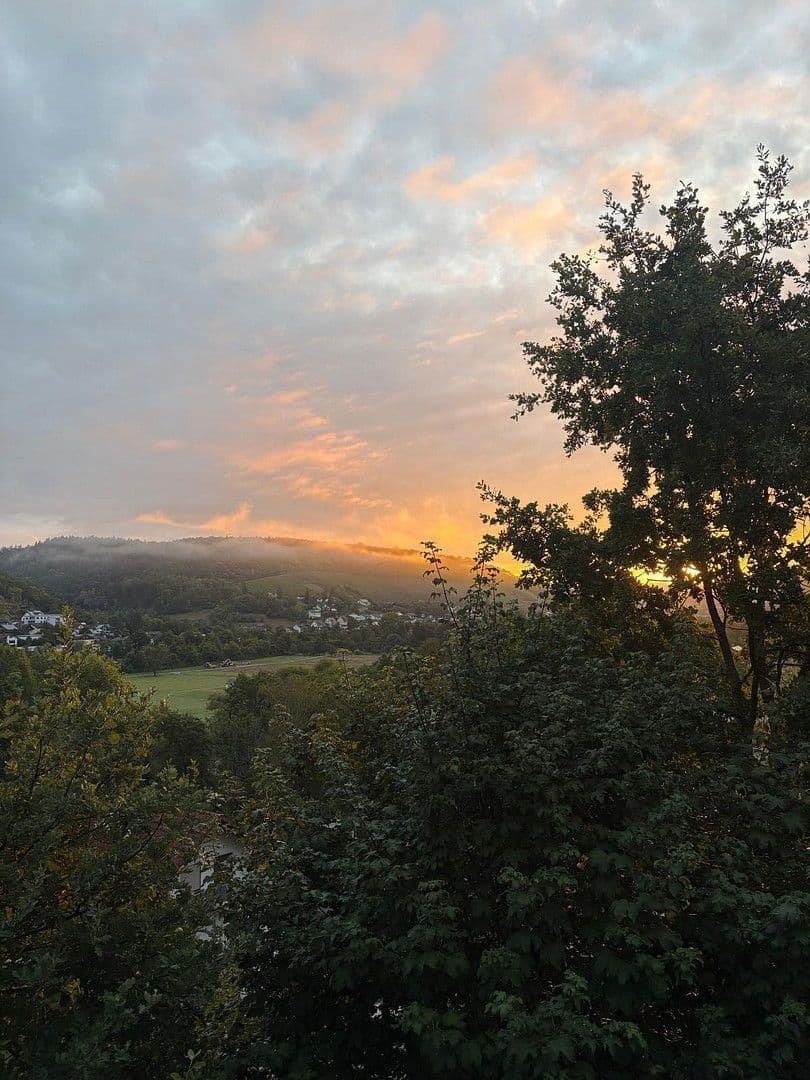 Prodej domu 293 m², pozemek 516 m², Ziegelsteige 38, Forchtenberg, Bádensko-Württembersko Prodej domu 293 m², pozemek 516 m², Ziegelsteige 38, Forchtenberg, Bádensko-Württembersko