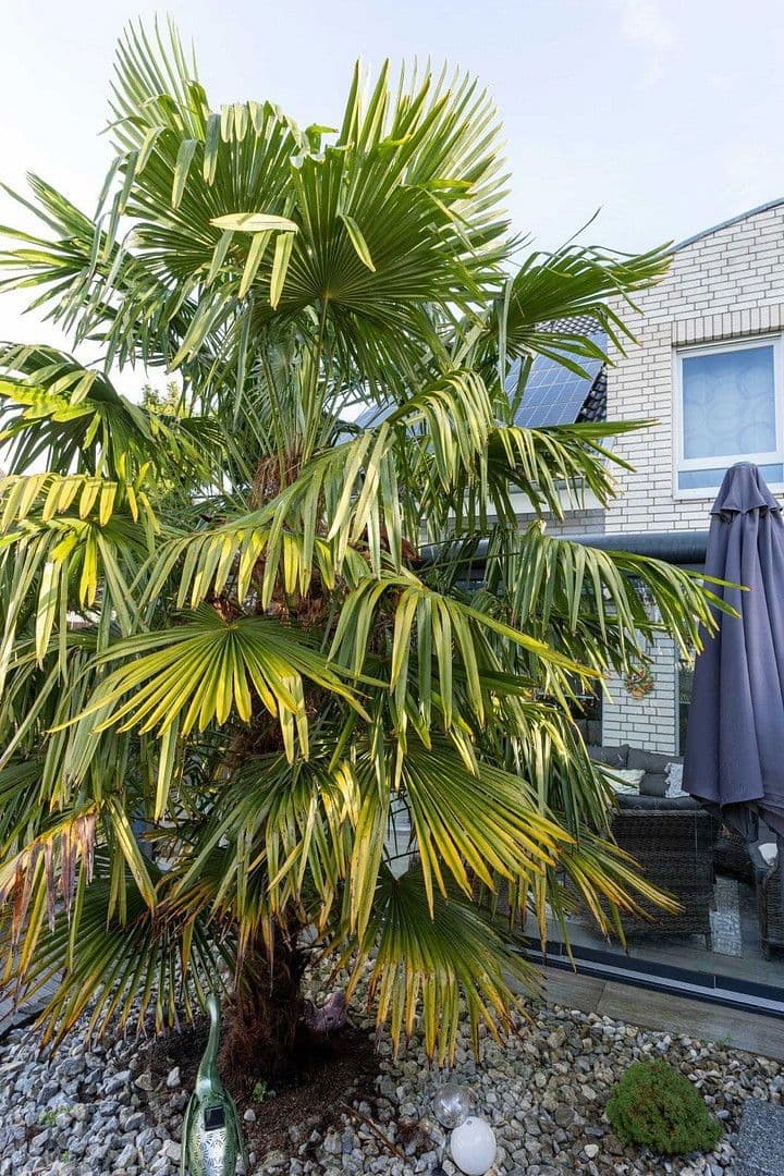 Prodej domu 132 m², pozemek 347 m², Langenfeld (Rheinland), Severní Porýní-Vestfálsko Prodej domu 132 m², pozemek 347 m², Langenfeld (Rheinland), Severní Porýní-Vestfálsko