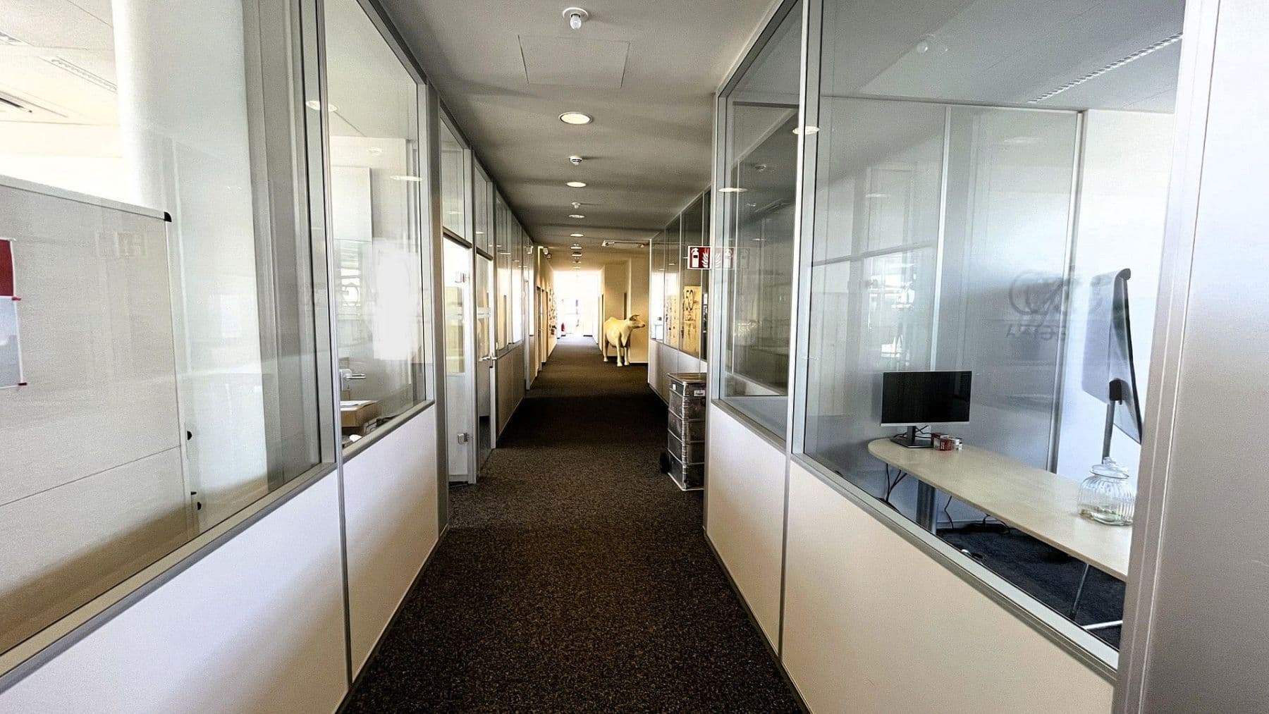 Pronájem kanceláře 650 m², Ismaning, Bavorsko Pronájem kanceláře 650 m², Ismaning, Bavorsko