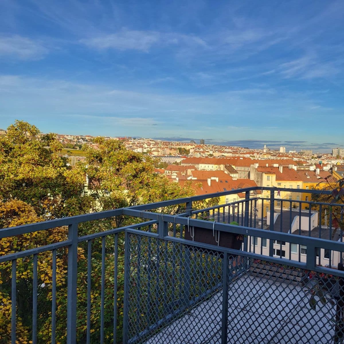 Pronájem bytu 2+kk 75 m², Táborská, Praha, Praha Pronájem bytu 2+kk 75 m², Táborská, Praha, Praha