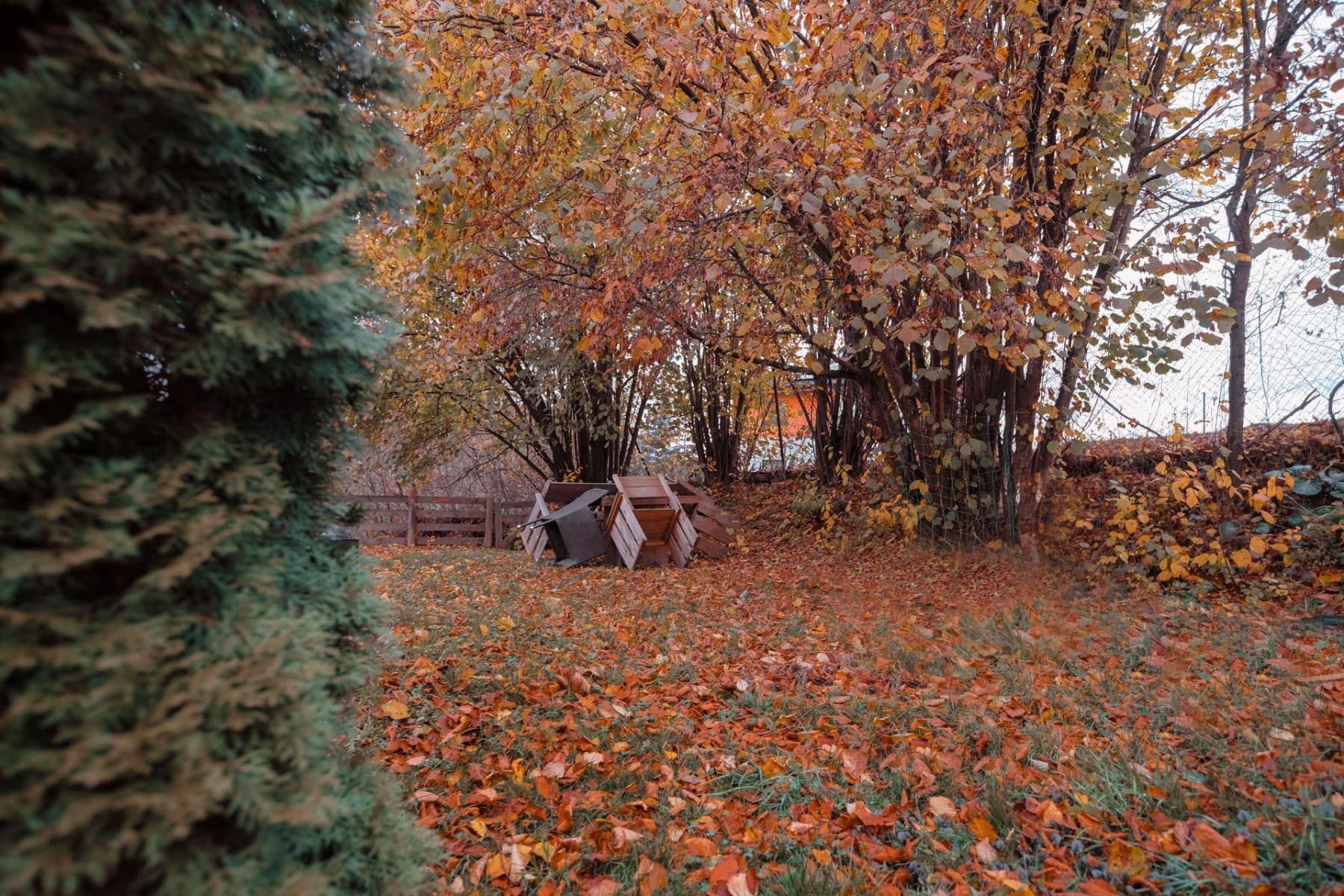 Prodej domu 65 m², pozemek 732 m², Medový Újezd, Plzeňský kraj Prodej domu 65 m², pozemek 732 m², Medový Újezd, Plzeňský kraj