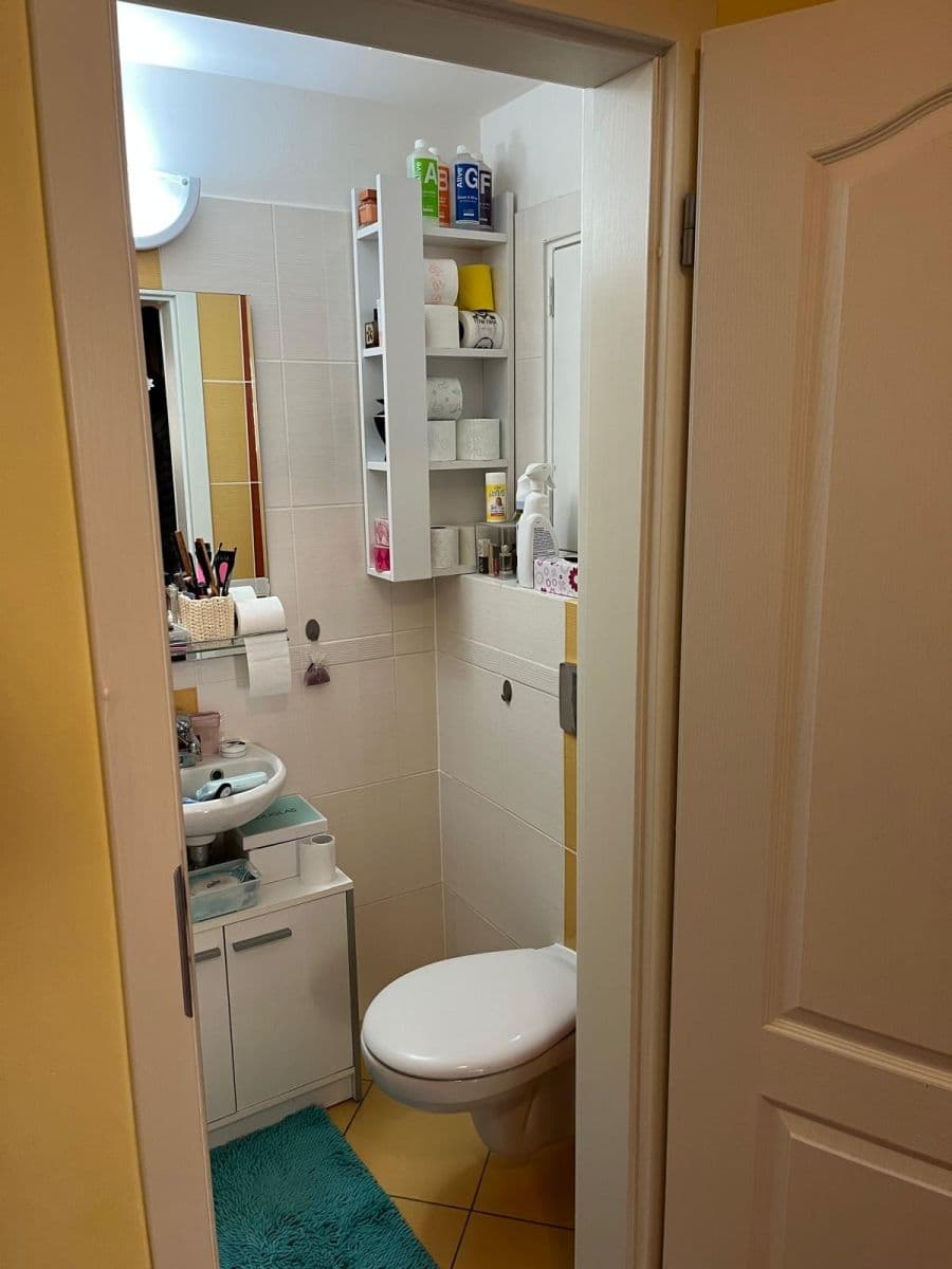 Prodej bytu 3+kk 301 m², Zámecký vrch, Karlovy Vary, Karlovarský kraj Prodej bytu 3+kk 301 m², Zámecký vrch, Karlovy Vary, Karlovarský kraj